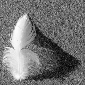 Meet your Posher, Kara